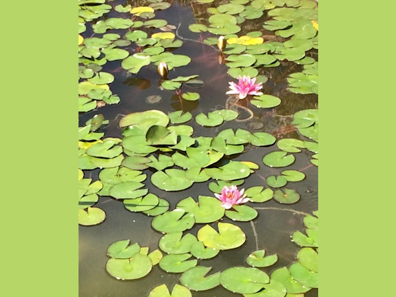 Multi-Generational Self-Sustainable Manor House