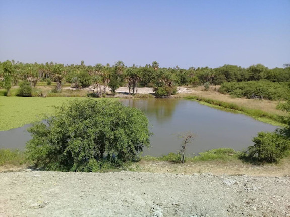 Livestock Farm in Alto Paraguay, Paraguay