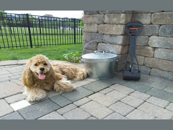 Pet Waste Removal Business