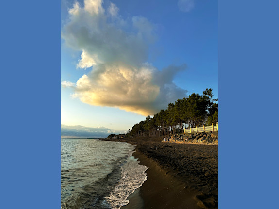 House For Sale 220M. From The Black Sea, Georgia