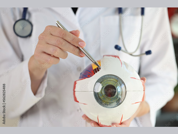 Established Ophthalmology Practice Palm Coast, FL