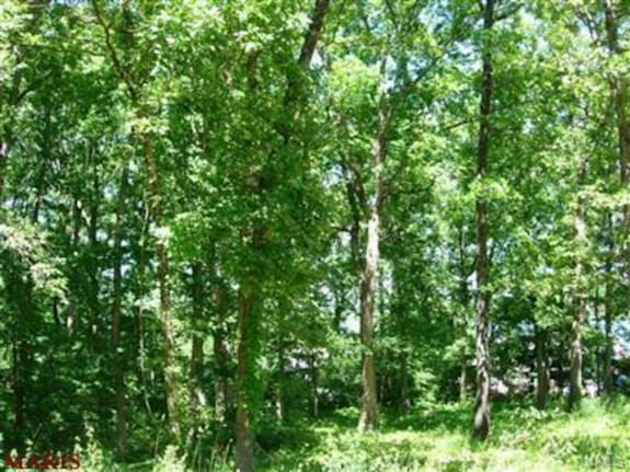 Lot in the Beautiful Raintree Plantation Community