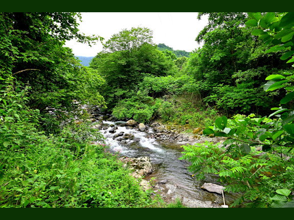 For Sale Restaurant On A River In Ozurgeti,Georgia