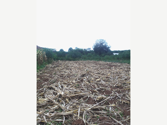 Land For Sale In Mukono Mpoma