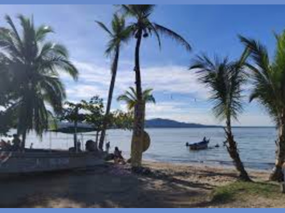 Popular & Charming Café In Puerto Viejo-Costa Rica