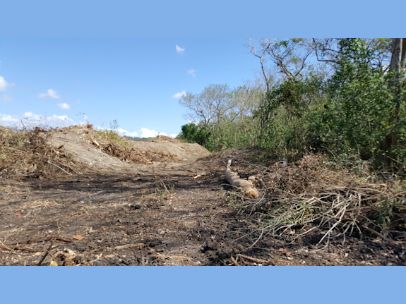 Land for sale in Pacora, Panama