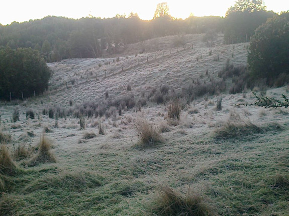 We Have Land Available In Chile, South America