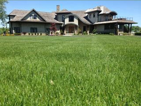 Landscaping Company for Sale in NY