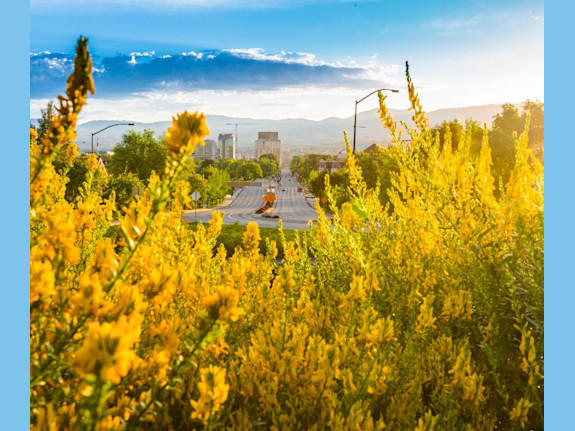 Thriving Western Idaho Dental Practice