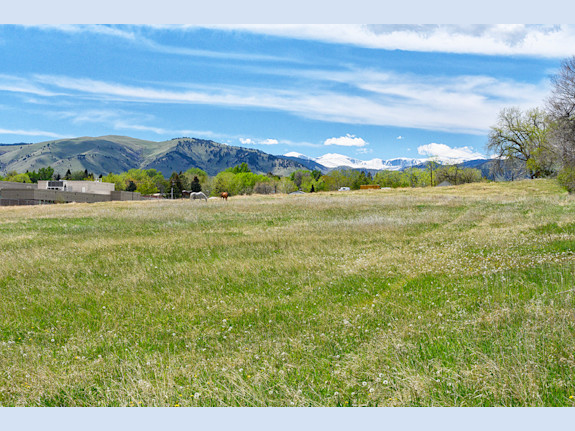 8.54-Acre Residential Development Opportunity