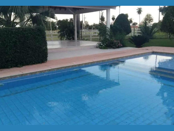 Cattle Ranch Paraguay