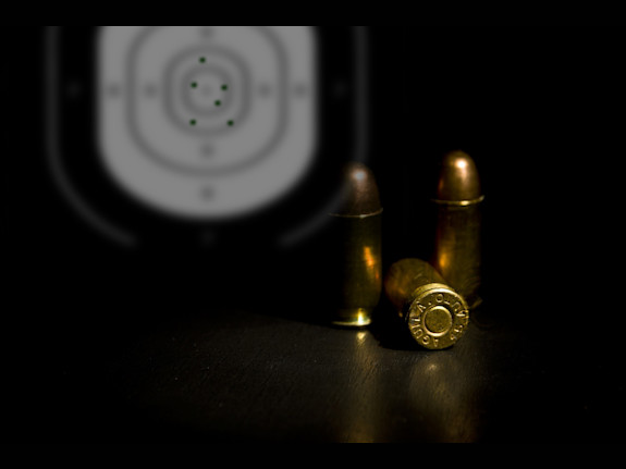 Specialty Gun & Ammunition Store for Sale in PA