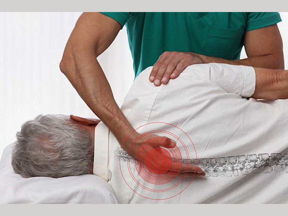 Well-Established Chiropractic and Wellness Center