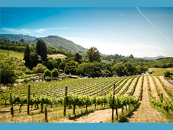 Alternative Reporting Non-Shell Vehicle