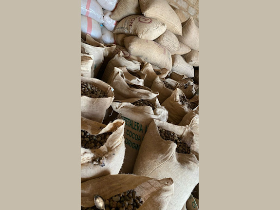 Raw Dried Cashews - Less than 10%MC