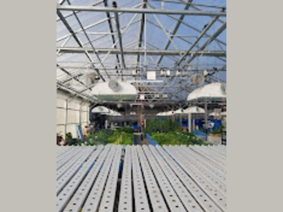 Aquaponic / Hydroponics  - Turn-key Business