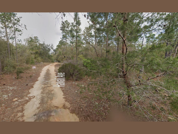 Oversized Corner Lot in Interlachen Florida