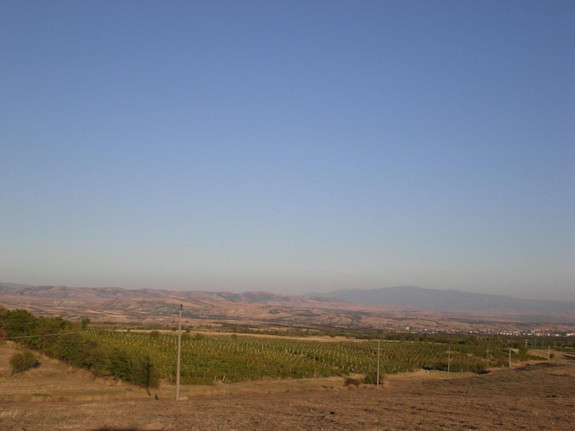 Vineyard for selling in Gorobinci ,N.Macedonia