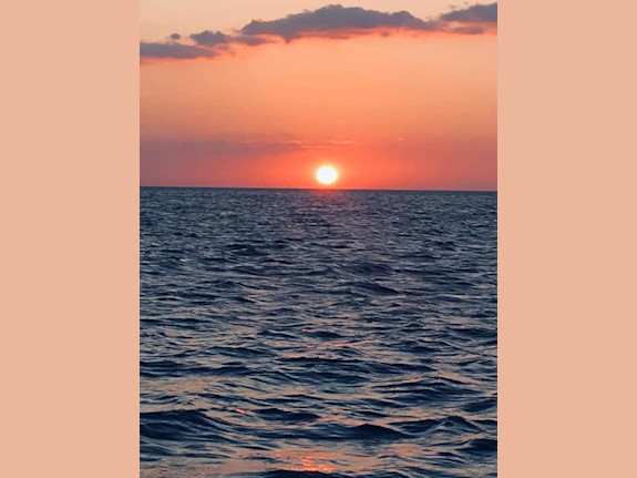 Venture Capital Partner