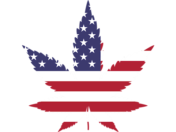 Cannabis Funding for Urban Properties