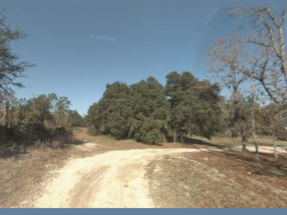 Over an Acre of Rural Residential Land