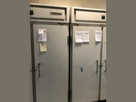 Established Ice Cream Store in Queens County NY