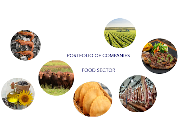 Boutique Investment Platform– Gateway to Argentina