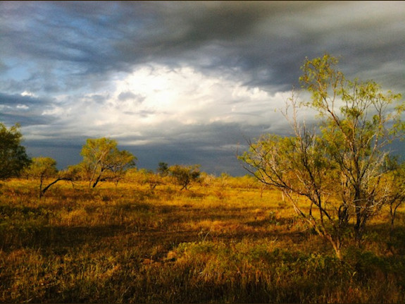 250 Ac In Ellis County Texas Ready For Development