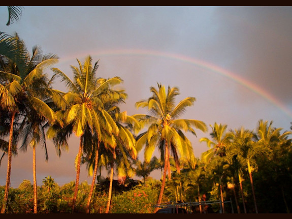 Turnkey Kona Coffee Farm & Brand – Multi-Generational Legacy