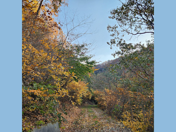 Excellent Plot Of Land For Sale In Korea