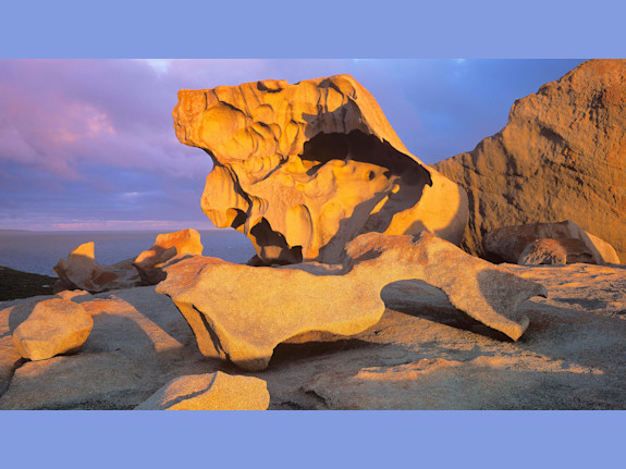 Large Sale Purchase Agreement Huge Return