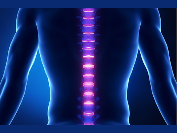 Chiropractic Wellness Center and Med Spa