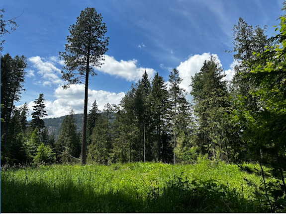 Estate / Development / Investment Property - Idaho