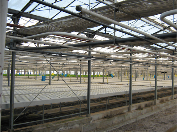 15,000 Sq.M. Glass Greenhouse For Sale In Greece