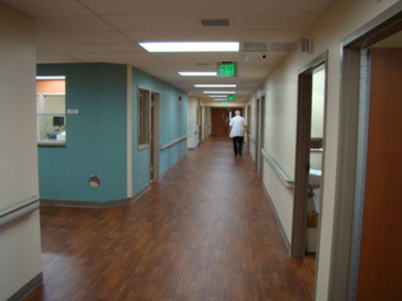 Investor - Geriatric Wellness Center