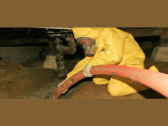 Salaroll Supersuction Pump