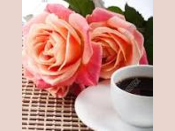 Florist and Coffee Shop Combo