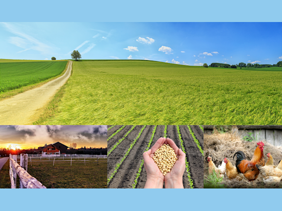 Farming Projects Takeover in Canada and USA