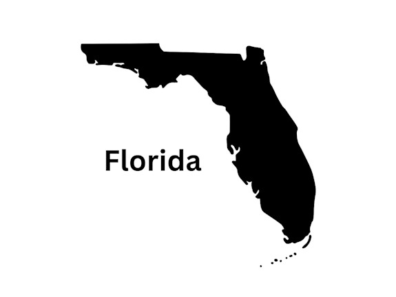 Cash Chiro Neuropathy Clinic For Sale Sarasota Fl