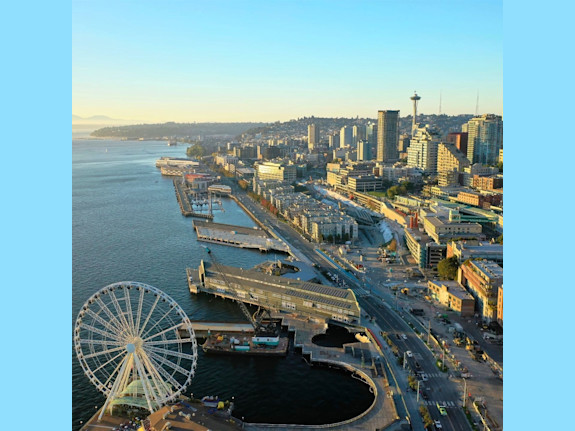 Seattle Ortho Practice Available