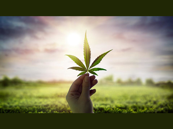 Boston Cannabis Cafe & Dispensary For Sale