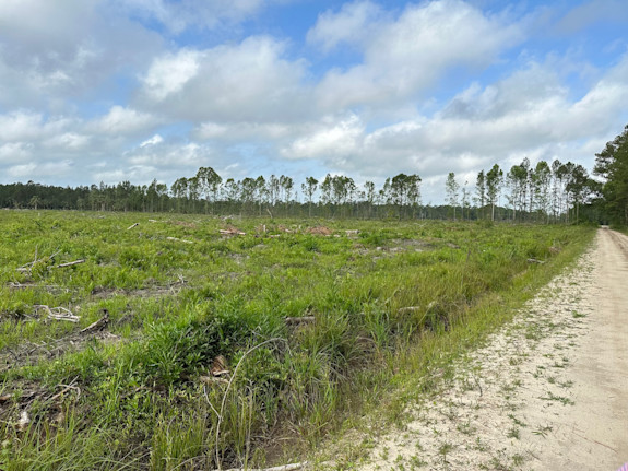 Motorsports Complex, Test Track & Members Club