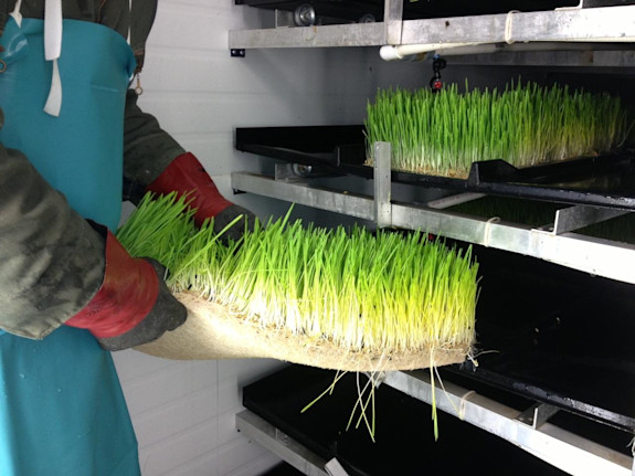 Acquire  Farmory and Reap the Harvest