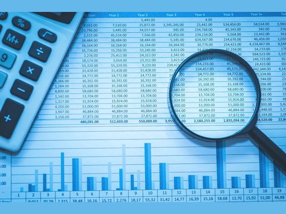 Well Established CPA Firm in SLO CA