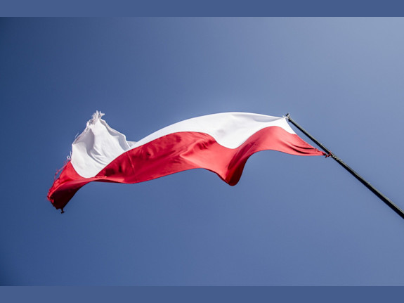 SPI  in Poland For Sale