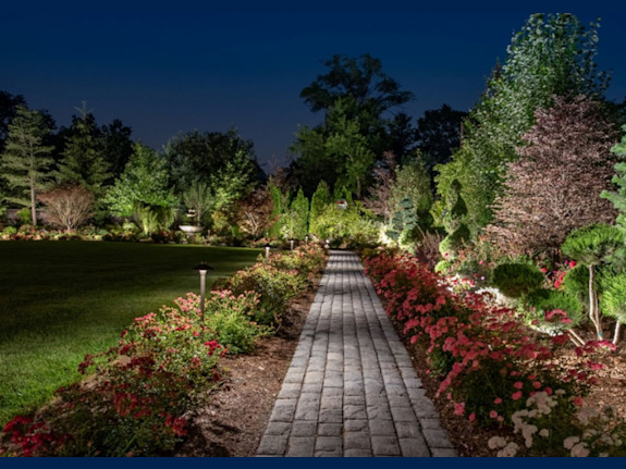 Under Contract-Decorative Lighting Business