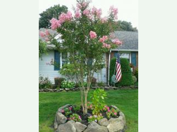 Landscaping Company for Sale in NY