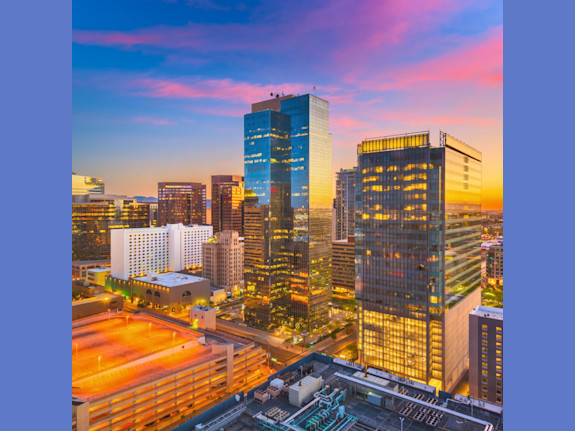 West Maricopa Co, AZ Established Vet Hospital