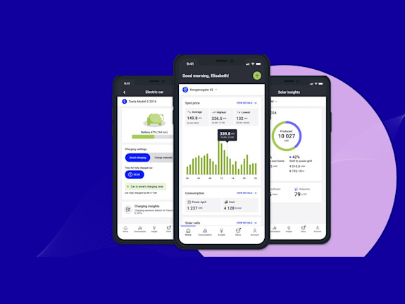 Software For Electricity Providers