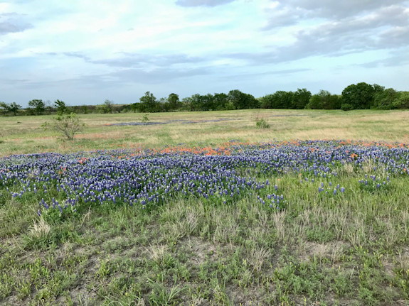 Ellis Co., Texas Land Offering High Profit Gains